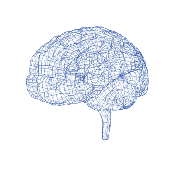 Brain image Brain image